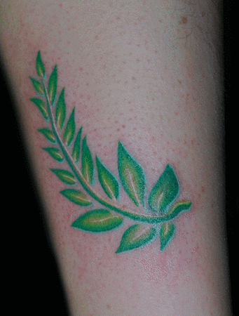 Mallory Johnstone - Fern 