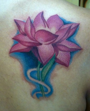 Mallory Johnstone - Lotus cover-up