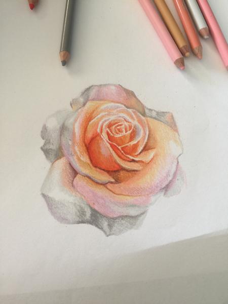 Rose  Tattoo Design Thumbnail