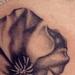 Tattoos - Poppy tattoo - 68978