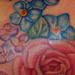 Tattoos - Camellia Tattoo - 69235