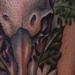 Tattoos - Stag Skull Tattoo - 71382