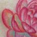 Tattoos - Lotus Flower - 57648