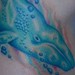 Tattoos -  Whale - 48925