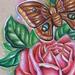 Tattoos - Moths and Roses Tattoo Sketch - 58809