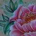 Tattoos - Peony Tattoo Sketch - 58807