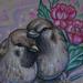 Tattoos - Love Birds Tattoo Sketch - 58808