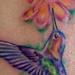tattoo galleries/ - hummingbird with plumerias
