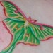 Tattoos - Luna Moth Tattoo - 50443