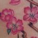tattoo galleries/ - Cherry Blossom Tattoo - 53387