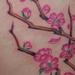 tattoo galleries/ - Cherry Blossom Tattoo - 53386