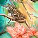 Tattoos - Hidden Place - 58159
