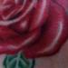 Tattoos - Red Rose - 54227