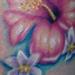 Tattoos - Hibiscus and Tuberose - 67990