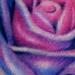 tattoos/ - Blue Rose - 63953