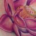 Tattoos - Lotus Tattoo - 73339
