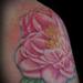 Tattoos - Peony - 60183