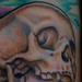Tattoos - Skull and Moths - 64830