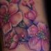 Cherry Blossoms Tattoo Design Thumbnail