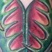 tattoo galleries/ - FLYTRAP - 45448