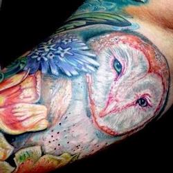 Tattoos - Jodis innerarm owl set (in progress) - 91893