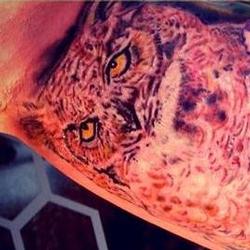 Tattoos - Jodis innerarm owl set (in progress) - 91897