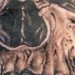 Tattoos - Head Skull Tattoo - 52141