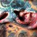 tattoo galleries/ - untitled