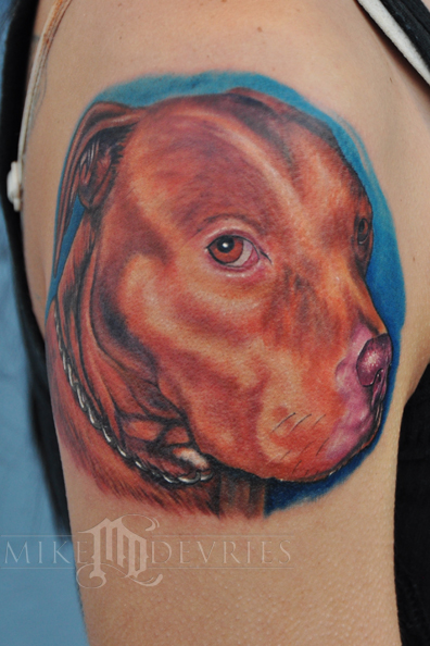 PitBull Tattoo by Mike DeVries : Tattoos