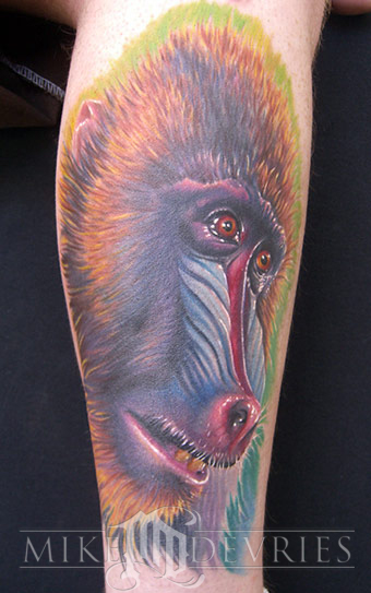 Mike DeVries - Baboon