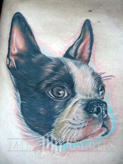 Mike DeVries - Boston Terrier