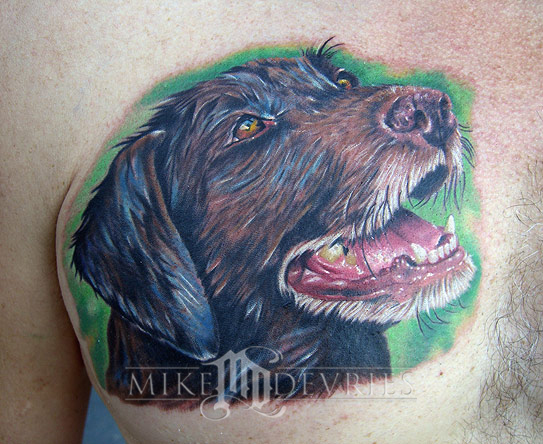 Mike DeVries - Dog portrait tattoo