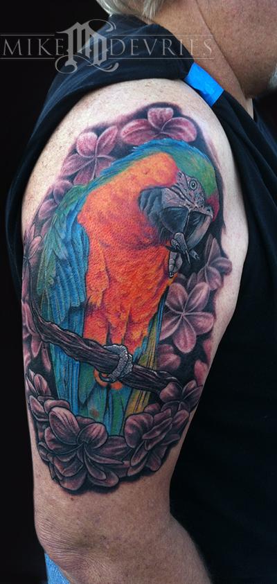 Mike DeVries - Catalina Macaw