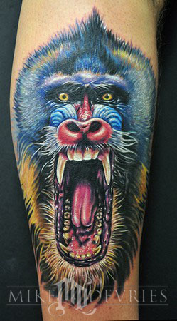 Mike DeVries - Mandrill 
