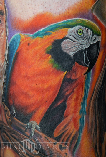 parrot tattoo. Comments: This Parrot is