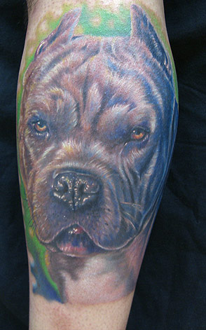 Mike DeVries - Pit Bull