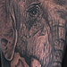 Tattoos - Africa's Big 5 - 67255