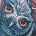 tattoo galleries/ - Owl Tattoo - 59121