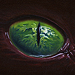 Tattoos - Eye Lost - 41259