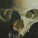 tattoo galleries/ - Pity Fisted