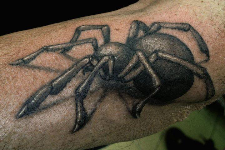 Venetian Tattoo Gathering : Tattoos : Nature Animal Spider : untitled