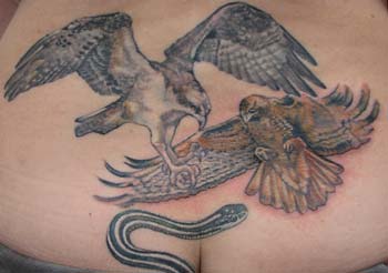 Tattoos - Kim Reed - hunting down under!  