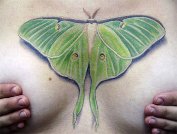 Tattoos - untitled - 25091