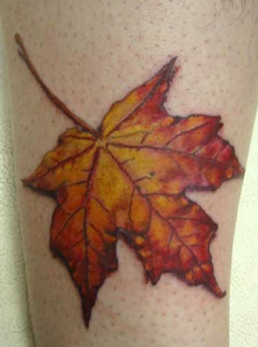 japanese maple leaves tattoo. japanese maple leaf tattoo