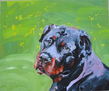 Tattoos - a.tort's pooch - 46430