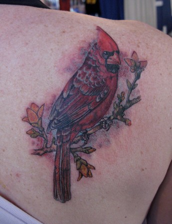 Tattoos - redbird - 46447