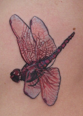 Tattoos - red dragonfly - 46423