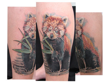 Tattoos - red panda - 31048