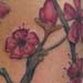 tattoo galleries/ - more cherry blossom branches!
