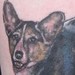 tattoo galleries/ - charlie - 46469